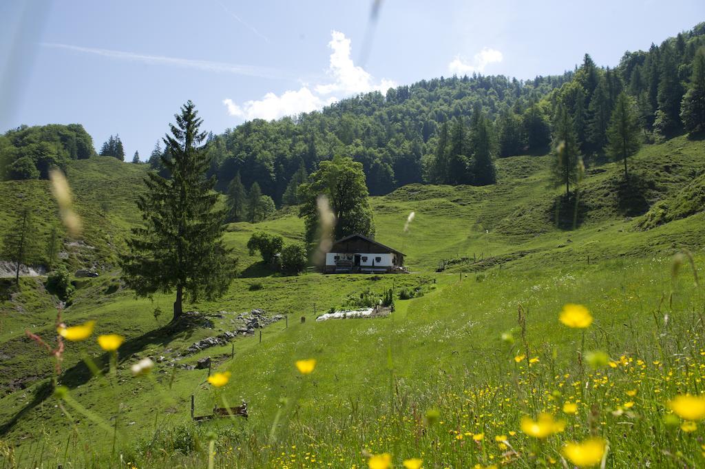 Noichl'S Hotel Garni Sankt Johann in Tirol Habitación foto